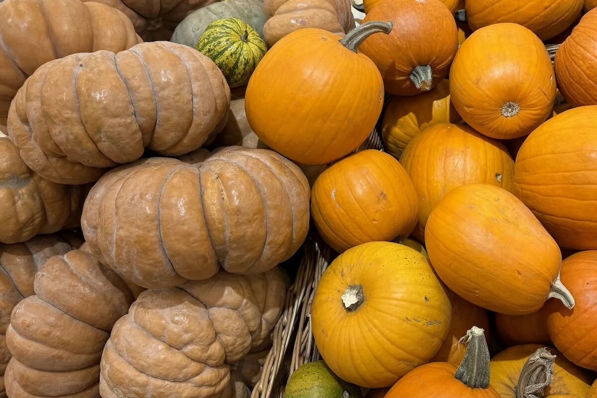Тыква: чем удивить себя на кухне в этом сезоне