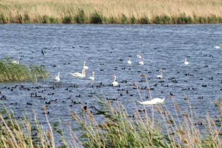 �� ������ �������������� ����������� ��������� 15 ������������� ���� � 2025 ����