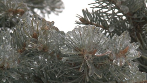 ����������� ����� ����������� �� ������������� �������