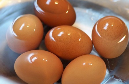 ��������, ��������� ������� �� �������, ����� �������� ����� �������� �� ���� ����