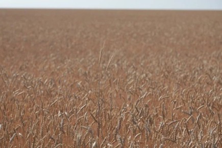 � ������������� ������� ���������������� ������ 17 ��������� ��� ��������� ����� �������������������� ��������