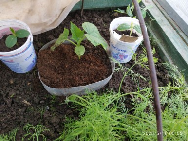 ��� ��������� ������� � �������� ��� �������