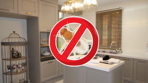 ����� ������ � ����� ����� ��: �� �� ������ ������ ��� ��������� ��������