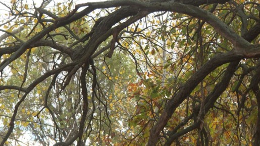 3,6 ������ �� ���� ���������� �� ���������� � ������������� ������� � 2026 ����