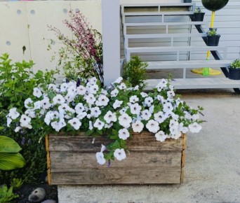 Как создать стильные уличные кашпо своими руками