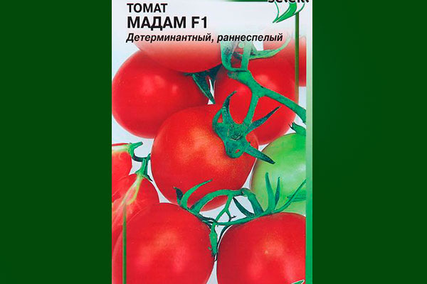 Томаты Мадам: секреты успешной посадки и ухода