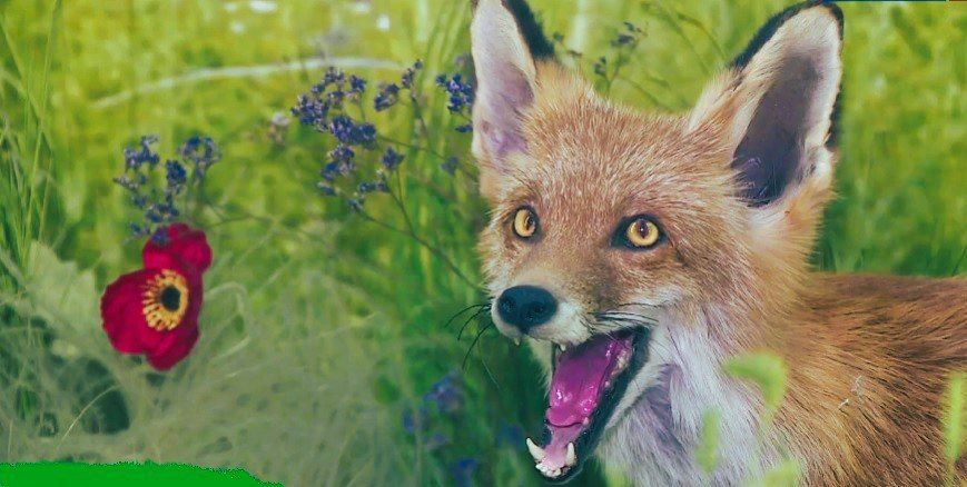 ��� "������� ������������� �������" ����� ��������� � ������������� �����