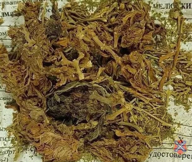 � ��������� ������ ������������ ��������� �������������� � �������� ����������