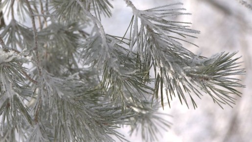 ���������� ������ �� -32 ����������� �� ������������� �������