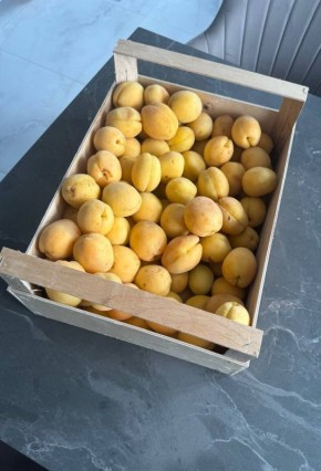 ��� ������������ ������� ���������: ���������� ������������ �� ������ ����