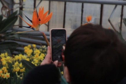 ������������� ������������ ���, ������������� � ��������, �� ��������� ���� ������� ��� �����������