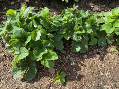 ������� ��������� ��������: ��� ����� ���� ������ ������� ��������� ������ � ������� ���