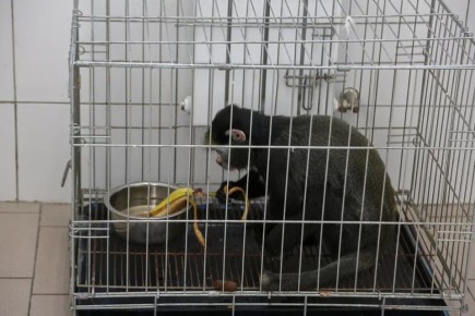 ������������ ������ ������������ ��������� � ��������� �� ��������