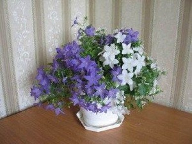 ���������� ������ ������ � �������: ��� ��������� �� ��������� ����������