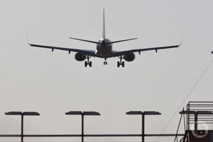 � ��������, ������������ ���� ��������� � ������, �������� ������ 100 �����