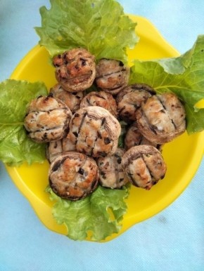 ��������������� ������������� ���������� �� �����: ��������� ������� ��� ������ �������