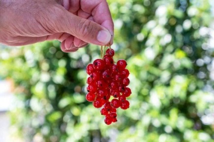 ��� ��������� ������������� ��������� ��� ������� ������