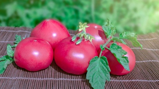 ����� ������� ������� ������: ���-5 ������ ��� ����� ������