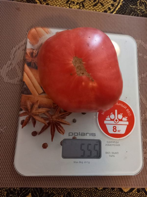 Гумат калия: мифы о полезности и его настоящая роль в садоводстве