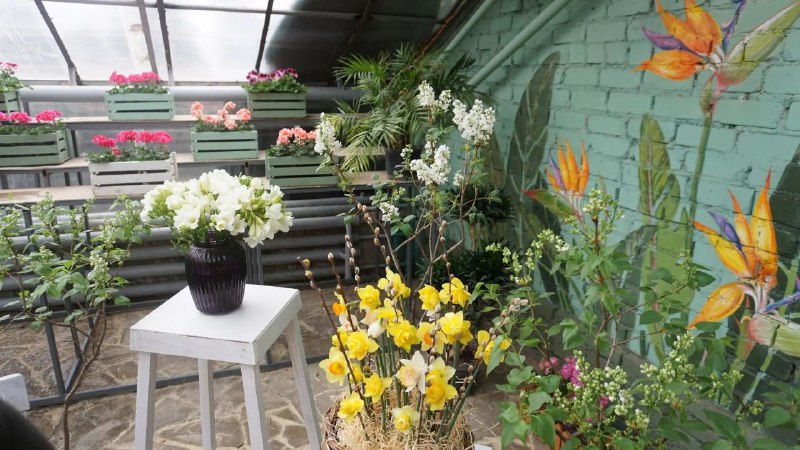 Праздник первоцветов начнется 7 февраля в Волгоградском региональном ботаническом саду Праздник первоцветов начнется 7 февраля в Волгоградском региональном ботаническом саду