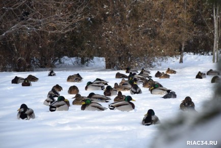 � ����������� �������� ����� �� ���� ������ � ����������� ������ ���������� ������ ������� ���� ����