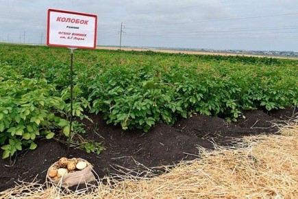 ����������� �������������� � ����������� ����� ��������� �������