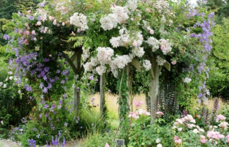 ����������� �������� �������� ��� ������ ����: ��� ������� ������ ��������