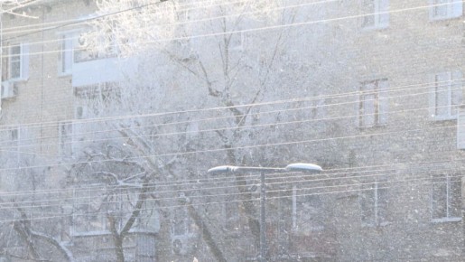 �� � ����������������� ����������� ������������� ������� ����������� �� 44,6 ��� ������ � 2025 ����