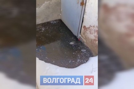 ������ ������������ ������ �������� � ������������ �������� � ����