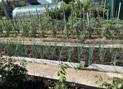 Почему севооборот важен для вашего урожая