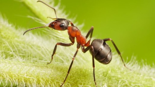 ��������� ����� ������ � ����: ��� �������� �������� �� �������� � ����������