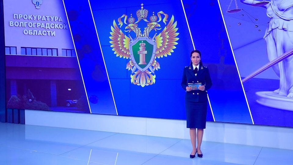 �����������. ������� ��������������