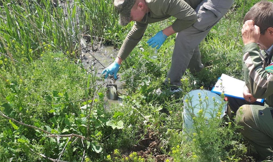 ���� �������������� ������ ���������� ����� � ������������� ������� �� 14,8 �������� ������, �������� ���������������