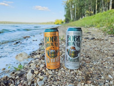 �� ������ ��������� � ����������� ���� Bobr Brovar