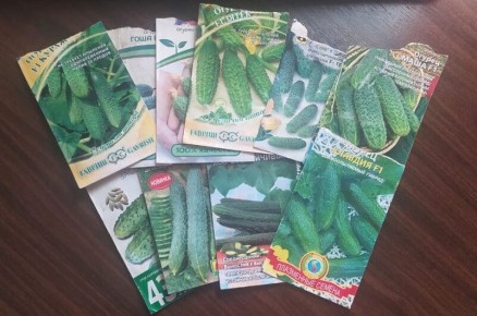 ������� ���������� � ������ ������ ��� ��������� ������