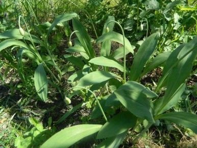 �������� �������� �� �����: ��� ��������� ������� � ����