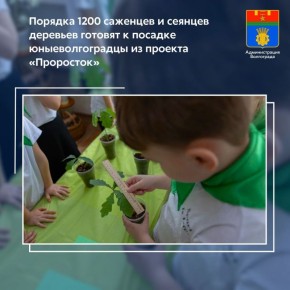 � ������ ���������� ���������� ������ �� ������������� ���� � ������� ����� ���������� ����� 1200 �������� ��������� ����� � ��� ������ ��� �������� ����� �������� � �������� �����