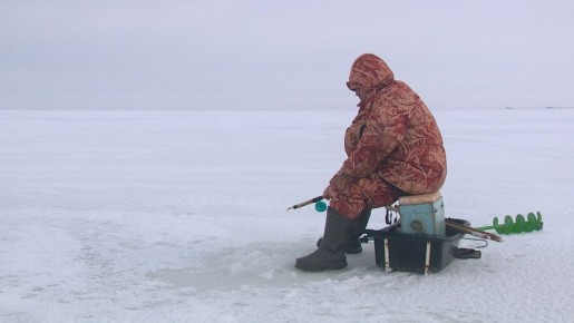 ������������� ������ ��������� �� ������� ����������� ��������