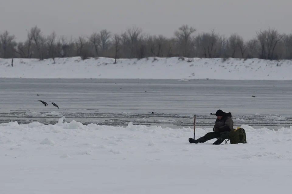 ������������ ����� ������� ���� �� ������������ ���������