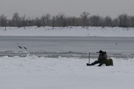 ������������ ����� ������� ���� �� ������������ ���������