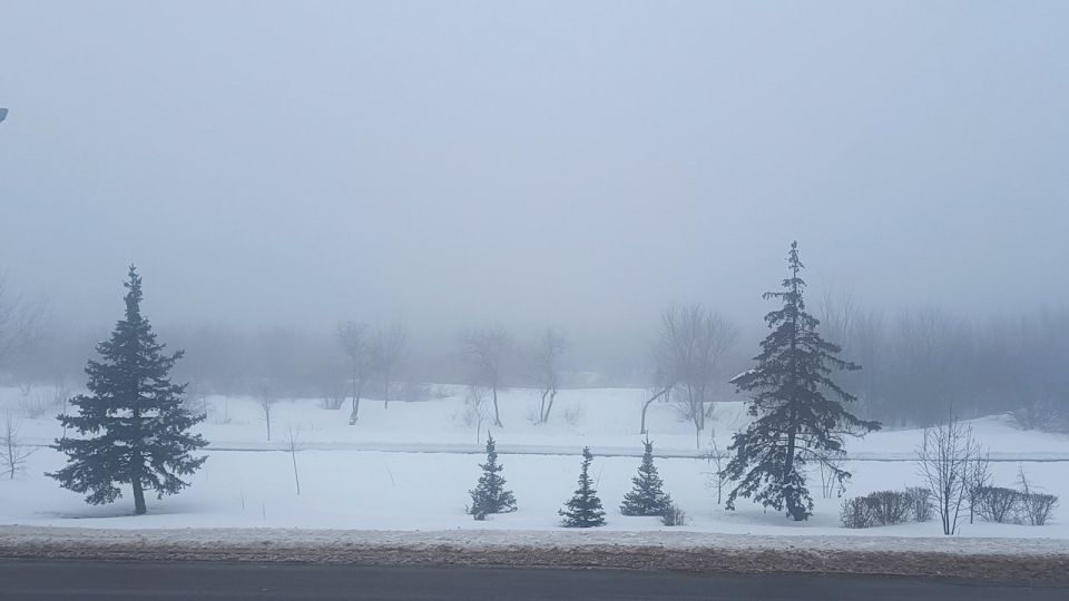 �����, ������� � ���� �������� ������ � ������������� �������