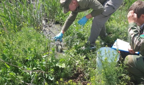 ������ ������� ��� �� ����� ��� ����������� ����� ���� ����� ��� �� 14,8 ��� ������