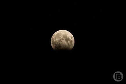 �������������� ��������� �������� ������ ������� ����������� 17 �������