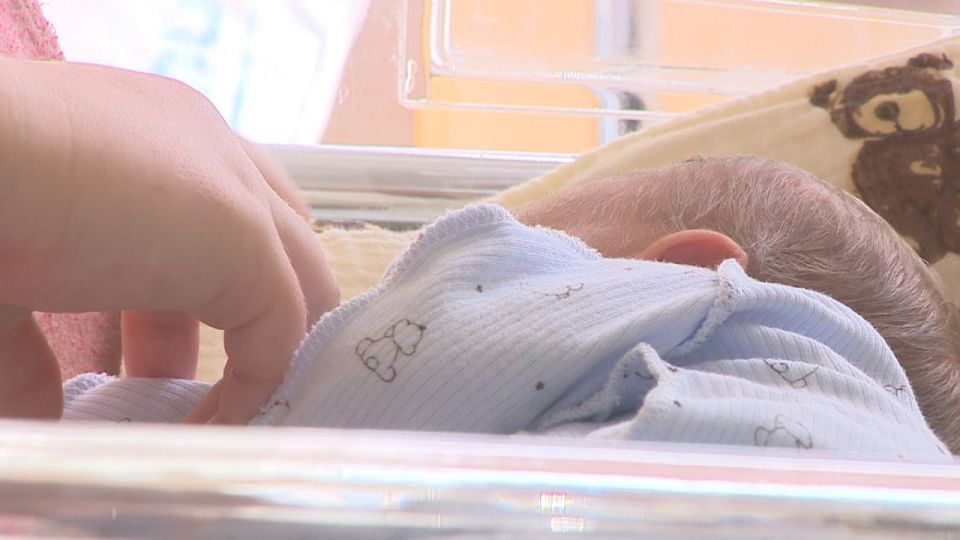 ��������, �������, ������� � ������ �������� � ������������� ������� � ������