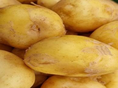 �������� ����� ��� ������� ���������: ���� ������ �� �������� �� ����������