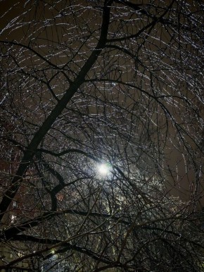 ��������� ������������� ���� ���� �� �����, ������� ��, ����������� �����