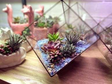 ���� �� ����������� � ������������: ��� ��������� ������� ��������