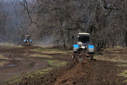 � ������������ ������������� ������� ��������� ���� �������