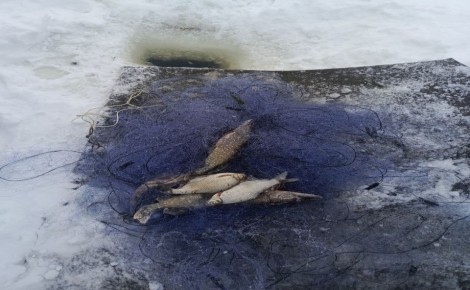 ���������� ������������� ��������� ������ ��� ������ �� ���������� �������� ���� ���������� ������ ������ ������������� ��������