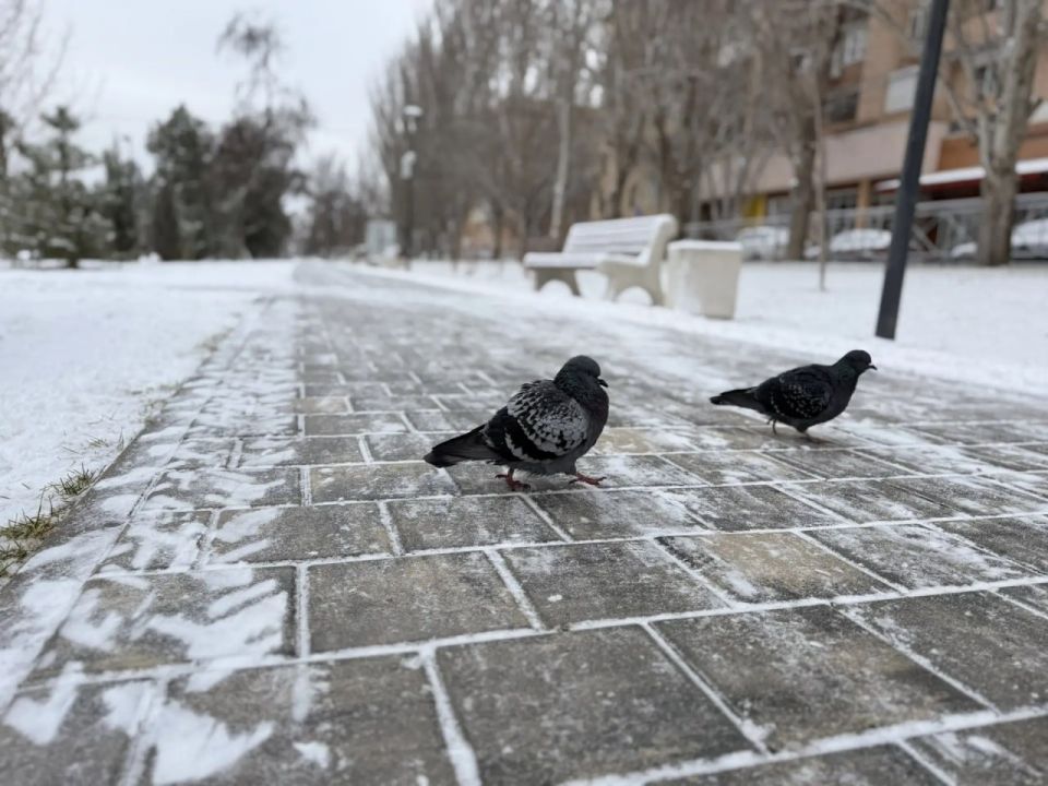 �����, ������� � ������������� ���: � ������������� ������� ����� -27 ��������� �� +1